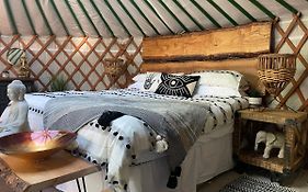 O Dan Y Coed Luxury Yurt With Hot Tub